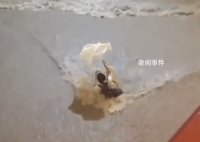 香港遭百年一遇暴雨 女子被狂流沖倒