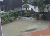 多條廣東暴雨相關傳言被辟謠 注意甄別