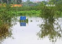 養殖場疑多條鱷魚出逃 民兵稱將擊斃
