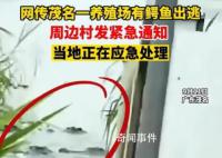 鎮政府回應暴雨致養殖場鱷魚出逃 確有此事正在抓捕