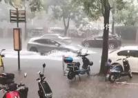 暴雨突襲上海:烏云壓頂大雨瓢潑