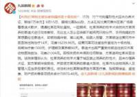 2狗打架主人被狗繩絆致十級傷殘 法院：對方賠償7萬余元