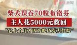 柴犬誤食70粒布洛芬主人花5千救回 好在之前催吐及時