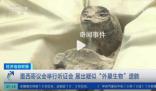 外星人?墨西哥國(guó)會(huì)揭曉非人類化石