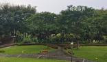 曝深圳一綠道網紅景點建完封閉三年 至今未再面向市民開放