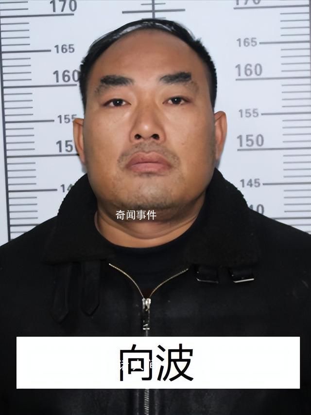 “黑老大”曾是校長 公安出手端了 向濤個人資料介紹