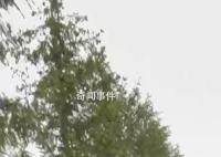 卡德羅夫健康狀況惡化?克宮回應