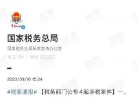 央媒評袁冰妍偷逃稅:洗白是無效的