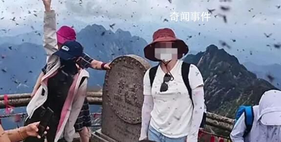 黃山景區回應“飛蟲沖臉” 多到眼睛都睜不開