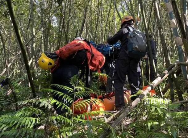 臺灣一登山團(tuán)遭蜂群攻擊2死9傷 實(shí)在是太可怕了
