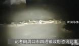 官方辟謠“河中發(fā)現(xiàn)巨型長蟲” 引起了很多人的關注