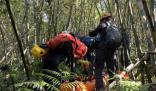 臺灣一登山團遭蜂群攻擊2死9傷 實在是太可怕了