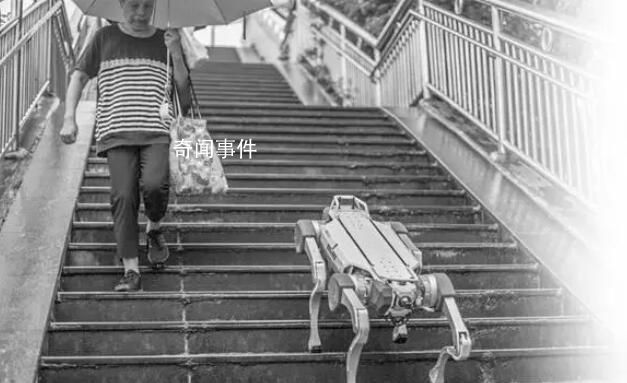 法媒:機器人“接管”杭州亞運會