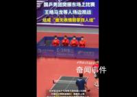 樊振東比賽馬龍等人變身鼓掌機器 賽場上主打一個氛圍壓制