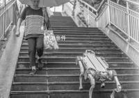 法媒:機器人“接管”杭州亞運會