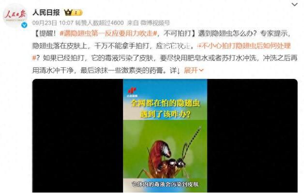 遇隱翅蟲第一反應要用力吹走 隱翅蟲號稱飛行的硫酸