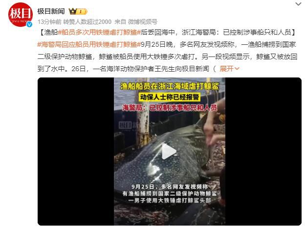 船員用鐵錘虐打鯨鯊頭部后丟回海中 網友已經報警