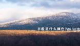 豐收里的中國色 盡顯中華韻味