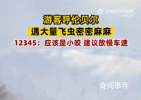 呼倫貝爾一地現大量飛蟲 一般對身體沒有害處