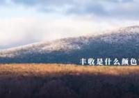 豐收里的中國色 盡顯中華韻味