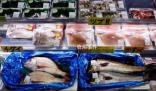 俄考慮限制日本水產(chǎn)品進(jìn)口 俄羅斯對(duì)日本水產(chǎn)品進(jìn)口限制勢(shì)在必行