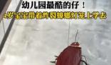 4歲寶寶帶著炸裂蟑螂燈籠上學(xué)去 網(wǎng)友：蟑燈結(jié)彩