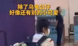 背了一堆小烏龜?shù)娜t嬋相當顯眼 引了眾多媒體和粉絲的目光