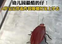 4歲寶寶帶著炸裂蟑螂燈籠上學去 網友：蟑燈結彩