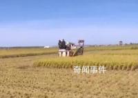 金秋農忙好“豐”景 重農固本安民之基