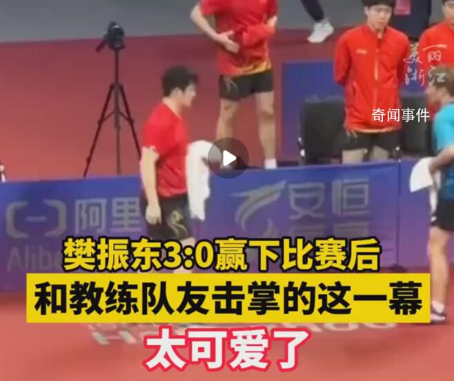 樊振東賽后和教練隊友擊掌太可愛