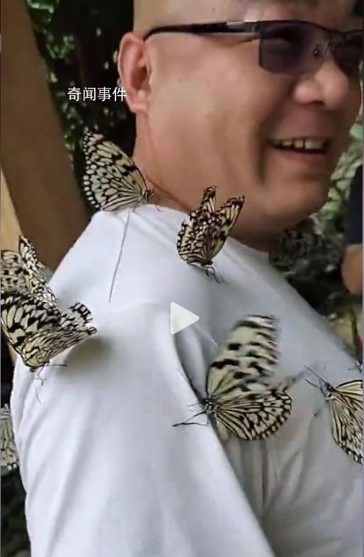 男版香妃 游客引來蝴蝶落滿身