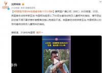 英國鱷魚專家性侵數十只小狗 法官警告繼續聽取指控可能引起強烈不適