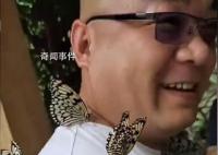 男版香妃 游客引來蝴蝶落滿身