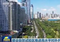 建設自貿試驗區推進高水平對外開放