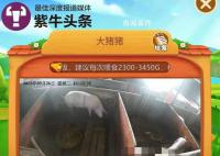 女子花8000元網(wǎng)上“云養(yǎng)”一頭豬 難預約因屠宰周期較長