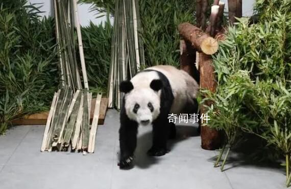 莫斯科行動文詠珊曝復古造型秘訣