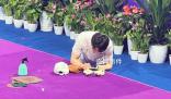 韓國體操選手尹真星微笑面對失誤 韓國體操選手尹真星火了