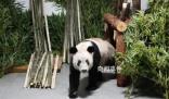 莫斯科行動文詠珊曝復古造型秘訣