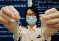 女子水果里藏49只昆蟲入境被查 已按規定被依法銷毀