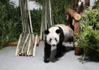 莫斯科行動文詠珊曝復古造型秘訣