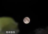 各地網友曬明月堪比攝影大賽 上演了超級月亮