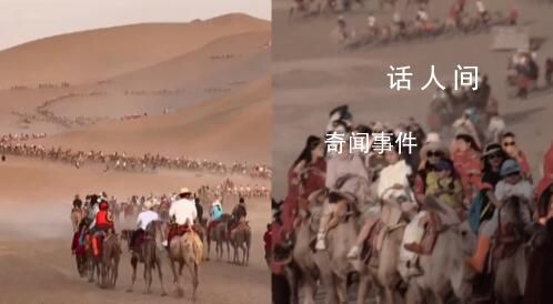 敦煌又雙叒叕堵駱駝了 隊伍壯大望不到邊