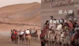 敦煌又雙叒叕堵駱駝了 隊伍壯大望不到邊