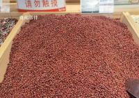 酸棗仁價格暴漲至1000元一公斤 你還會買單嗎?