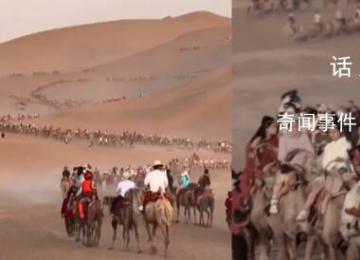 敦煌又雙叒叕堵駱駝了 隊伍壯大望不到邊