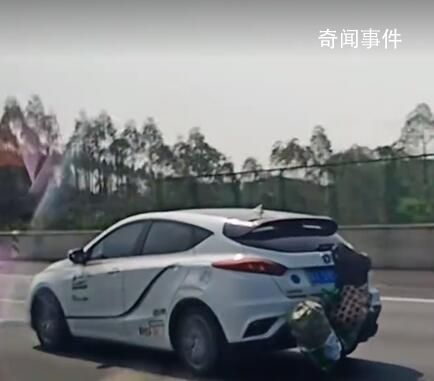 返程的后備箱:有人把雞鴨掛車上