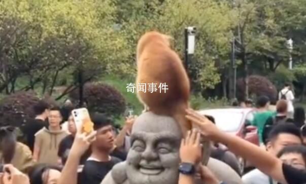 發(fā)現(xiàn)了雞鳴寺的頂流 吸引了大量游客圍觀和爭(zhēng)相合影