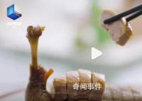 廣東人一年能吃掉8億只雞 廣東地圖像雞腿的原因找到了
