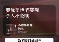 陳粒音樂(lè)節(jié)歌詞被改 為了避開(kāi)敏感字變得更敏感了