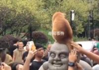 發(fā)現(xiàn)了雞鳴寺的頂流 吸引了大量游客圍觀和爭相合影